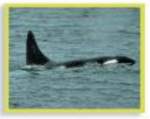 Задание рисунок 4