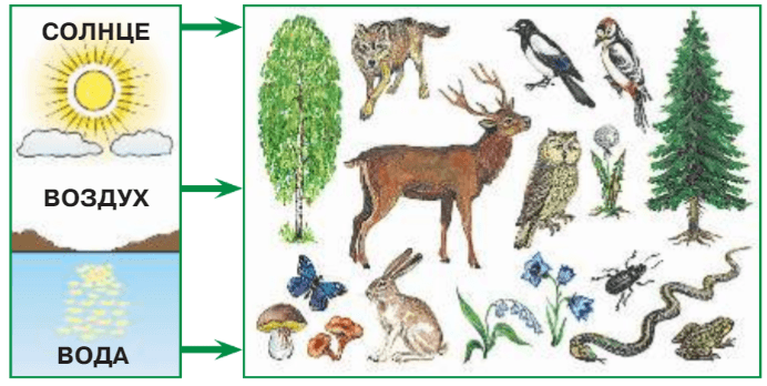 Задание рисунок 1