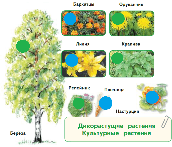 Решение рисунок 1