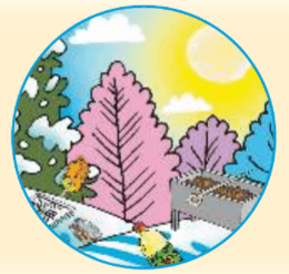 Решение рисунок 2