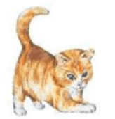 Задание рисунок 4