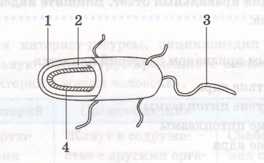 Задание рисунок 1